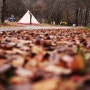 131116- 겨울의 시작, 오랜만에 찾은 도장계곡 솔캠