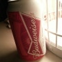 버드와이져 (Budweiser)