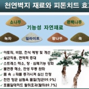 아토피와 천연벽지