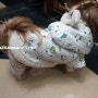 강아지옷만들기/누빔코트&폴라폴리스원피스