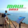 신혼여행 하와이 마우이섬 Day3 : 하나하이웨이드라이브 웨일러스빌리지 Hula Grill 흑동고래