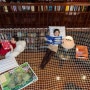 [도서관] 아이들을 책벌레로 만들어 주는 비현실적인 방법 - Reading Net