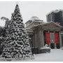 2008.12.26 - White christmas