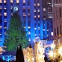 [뉴욕생활] 세상에서 가장 큰 트리, Rockefeller Center Christmas Tree 2013