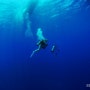 [필리핀 팔라완] 대구 다이빙의 최고봉.....ㅋㅋㅋ TK다이빙