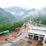 오는길: 사북역, 무궁화호, 삼탄아트마인 티켓구매