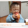 [N드라이브 | 응답하라 2013] 최고의 먹방 사진을 골라라!