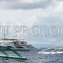 [필리핀,세부]자유여행 프롤로그(Cebu Prologue)