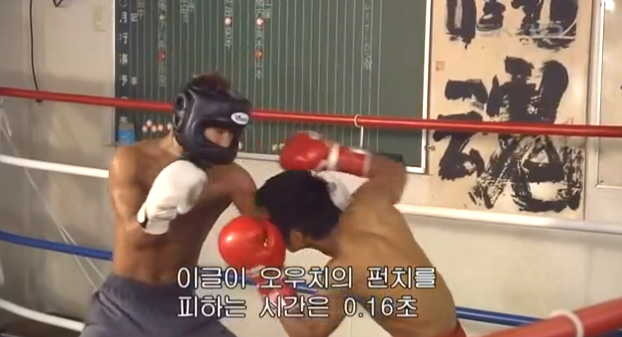 [재밌는 동영상] 권투선수가 일반인 주먹 피하기 : 네이버 블로그
