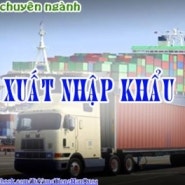 Chuyên ngành Xuất nhập khẩu – hải quan 수출입 - 관세