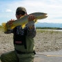 [캐나다낚시] 알버타주 워터톤 강 브라운 송어 플라이낚시 동영상 - Canada alverta waterton river brown trout flyfishing video