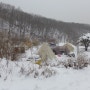 #31 Snow camping @물언덕