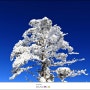[겨울 최고의 여행지]무주리조트 스키장 덕유산 눈풍경