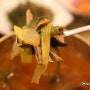 [공주 맛집] 다래원, 칼칼하고 시원한 효자국밥 <공주 향토음식 달곰나루>