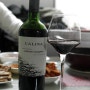 [레드와인/추천와인]깔리나 까베르네 쇼비뇽 리제르바 2011/Calina cabernet sauvignon reserva 2011(칠레와인)