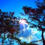 서울 매봉산 - 소나무사이로 담은 태양과 구름