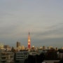 일본 도쿄 - 마지막날