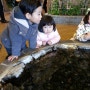 어린이대공원 식물원과 동물원