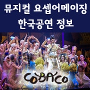 [코바코] 요셉어메이징 한국공연정보! 코바코 이벤트,요셉배우소개