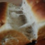호두 식빵