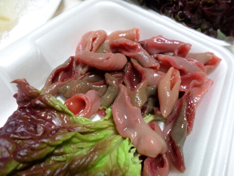 천송이가 좋아하는 개불~♥ : 네이버 블로그