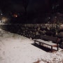 [겨울 예쁜 눈사진찍기] 삼성 디지털카메라 VLUU PL 150 사용후기
