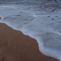 올림푸스 xz-1 - 겨울 동해 바다 경포대 나들이