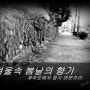 제주에서 머문자리(겨울속 봄날의 향기)