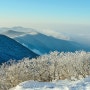 [태백산] 눈꽃이 있는 풍경