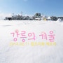 경포대 - 강릉의 겨울3