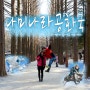 한국의 겨울왕국 나미나라공화국 : 남이섬 겨울힐링여행