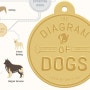▶illustration 29: THE DIAGRAM OF DOGS : 강아지 견종표 포스터 BY POP CHART LAB / 강아지 일러스트