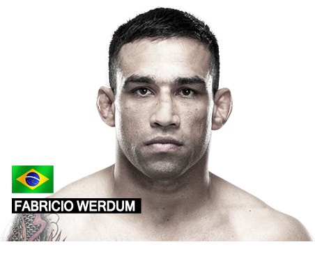 [UFC헤비급] 파브리시오 베우둠 (Fabricio Werdum) : 네이버 블로그