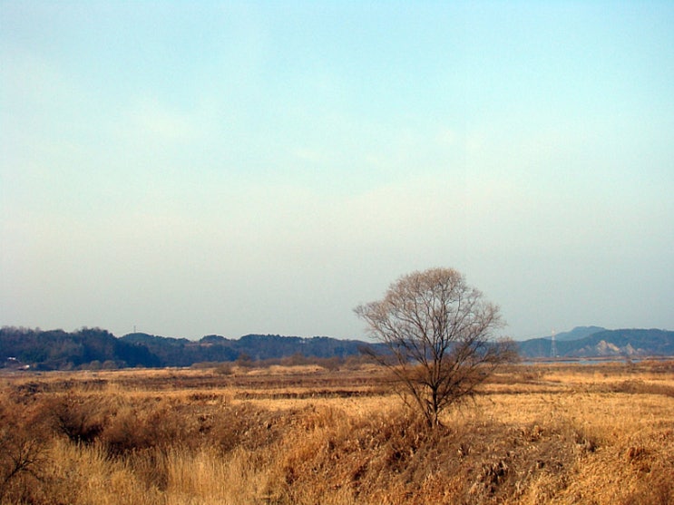 익산 여행 용머리 용안 생태습지공원