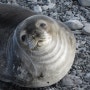 2013-14 남극 사진