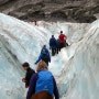 뉴질랜드 배낭여행 4. 프란츠조셉 빙하투어 FranzJosef Glacier tour
