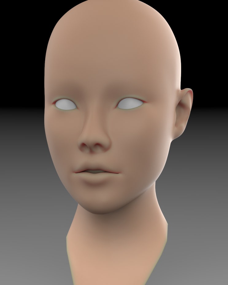 KeyShot 4.3.18 Human Skin.. : 네이버 블로그
