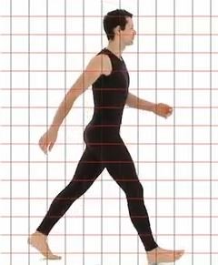 Animation Reference - Athletic Male Standard Walk : 네이버 블로그