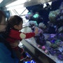 부산 국립 해양박물관 즐기기