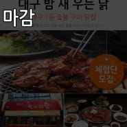 [대구맛집] 밤 새 우는 닭 첫 번째 체험단 모집