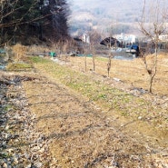 (분당주말농장 텃밭 분양), 판교준세주말농장 분양안내, 성남주말농장, 강남구주말농장, 판교주말농장, 과천주말농장, 안양주말농장