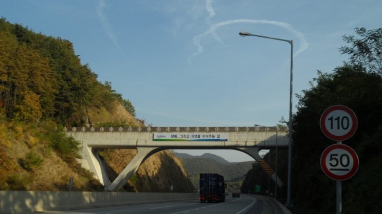 생태통로 사례(한국도로공사 포함) : 네이버 블로그