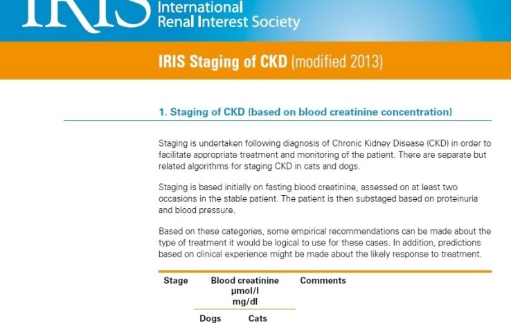 IRIS Staging of CKD (modified 2013) : 네이버 블로그