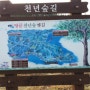 26. 국토종주 도보여행 - 해남 송지에서 땅끝마을까지