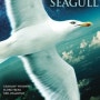 Jonathan Livingston Seagull