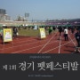 반려동물축제, 애견올림픽 - 제 1회 경기 펫페스티발, 애견건강달리기대회 / 하늘연못