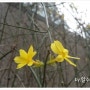 봄봄봄 봄이왔어요~ /봄봄봄 포토샵 이미지