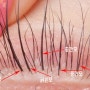 [Eyelash]Three point style 디자인 소개!