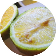 못생긴 우리집 레몬: Lemon