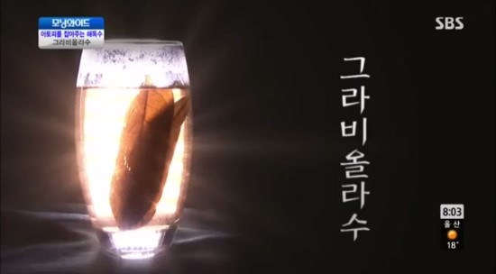 아토피에 효과있는 그라비올라수(구야바노,샤워솝), 그라비올라 미스트 만들기 : 네이버 블로그